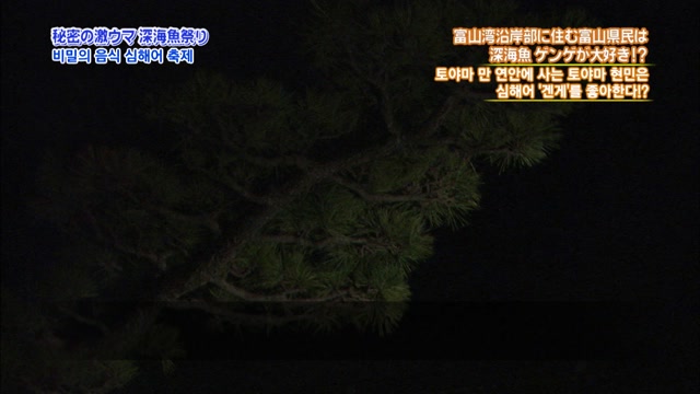 제 41화