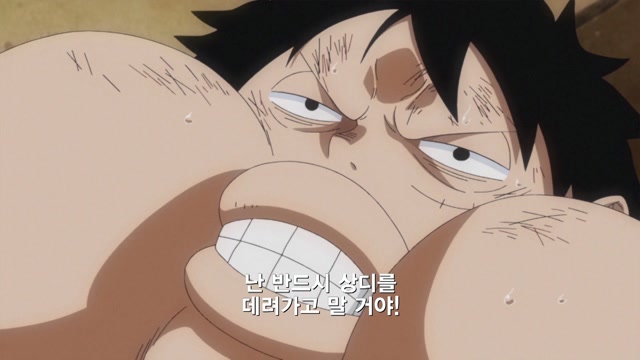 31화 슬픈 결투 루피 VS 상디 (전편)