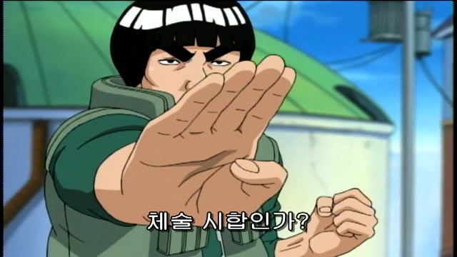 11화 종합 특집편