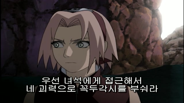 20화 히루코 대 여닌자 둘