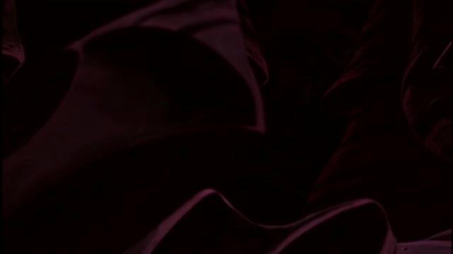 7화 유위전변