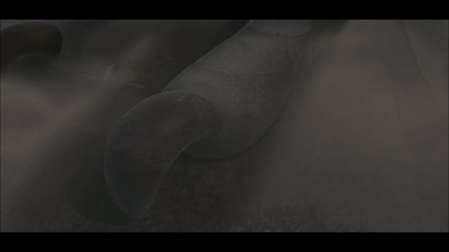 제 4화 곤과 초로의 열매 쟁탈전