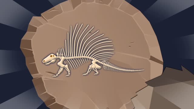 5화 공룡시대 1