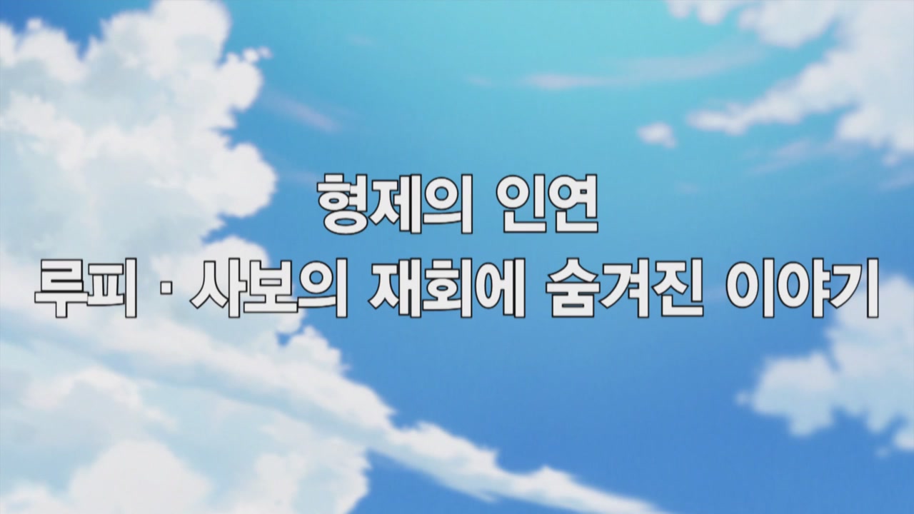 49화 형제의 인연 루피·사보의 재회에 숨겨진 이야기