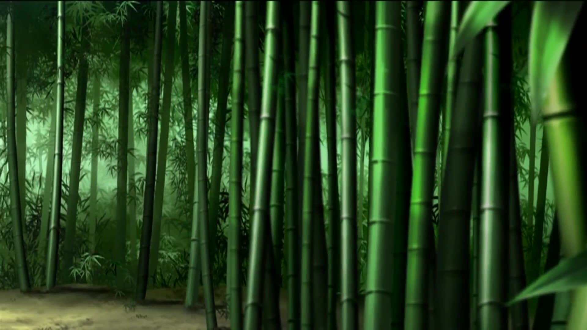 9화 개막! 세계 대회