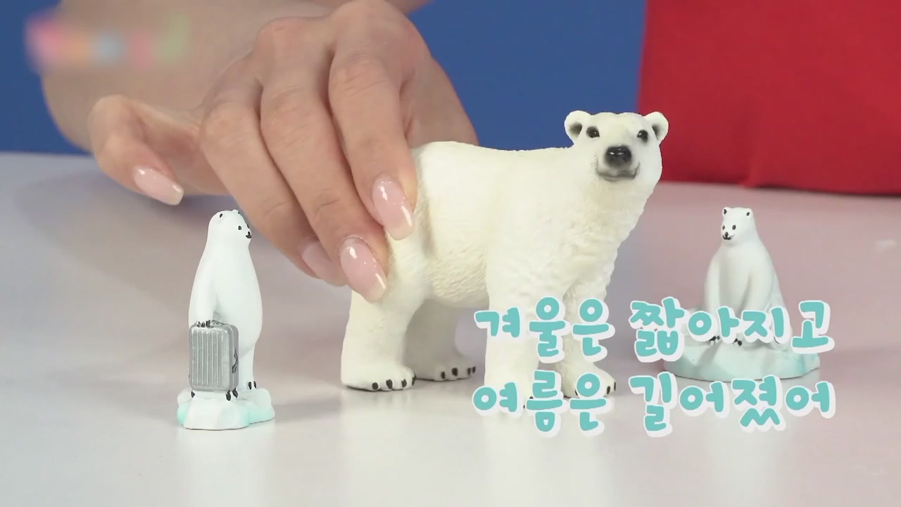 18화 북극의 얼음이 녹고 있어요 북극곰을 구하라!