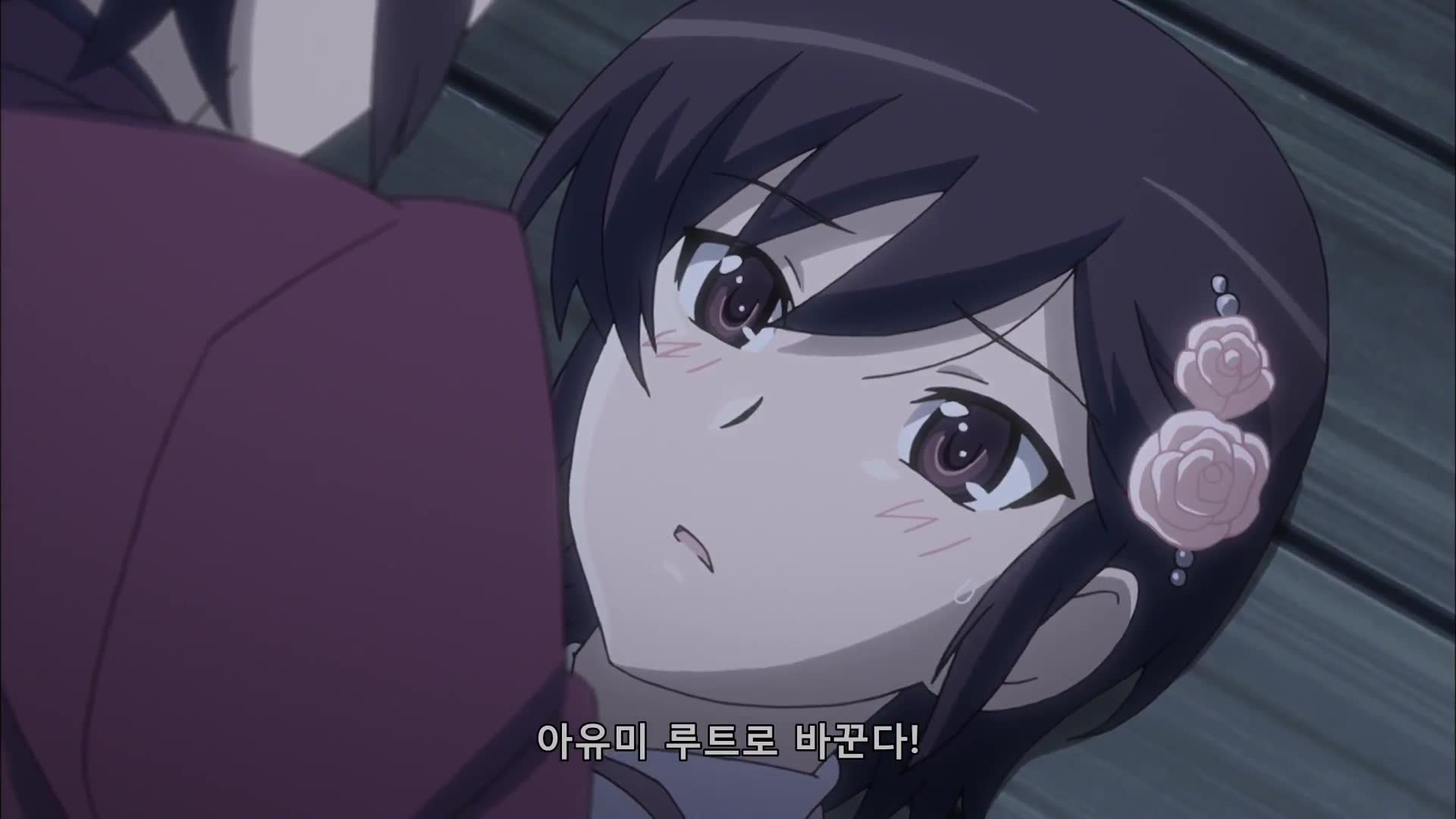 FLAG.9.0 Absent Lovers