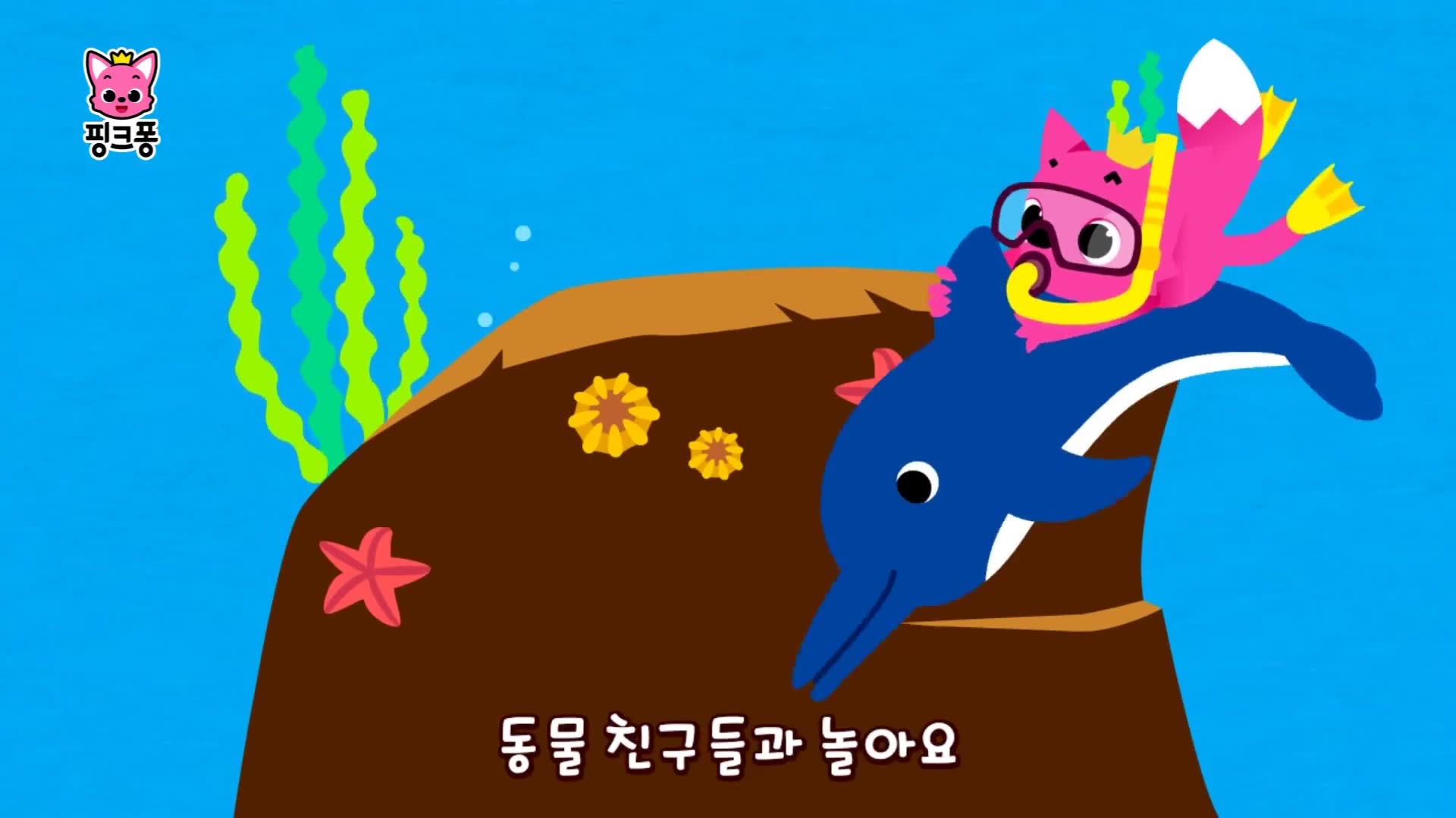 바닷속에는