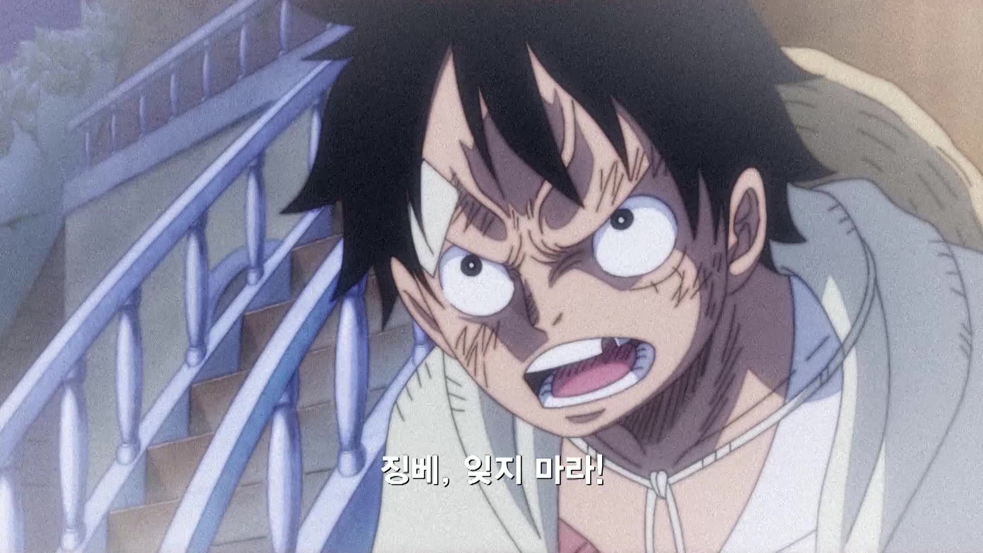 22화 새로운 동료! 바다의 협객 징베!