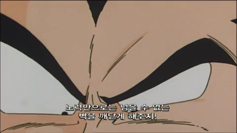 55화 부르마 움직이다! 베지터 개조 계획