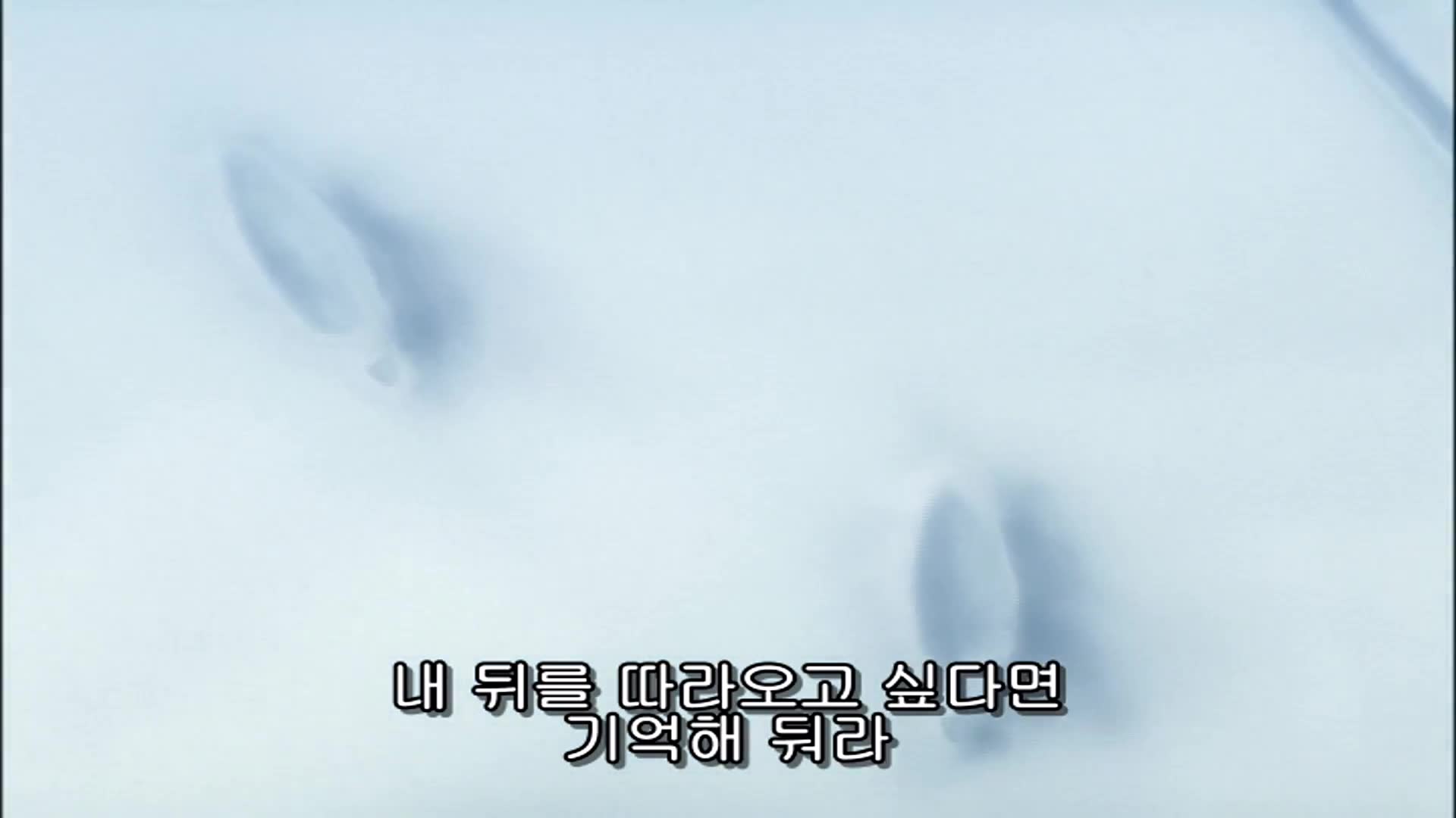 36화 카라쿠라마을로 집결!