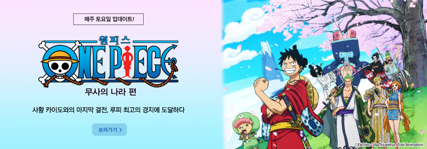 원피스 30기
