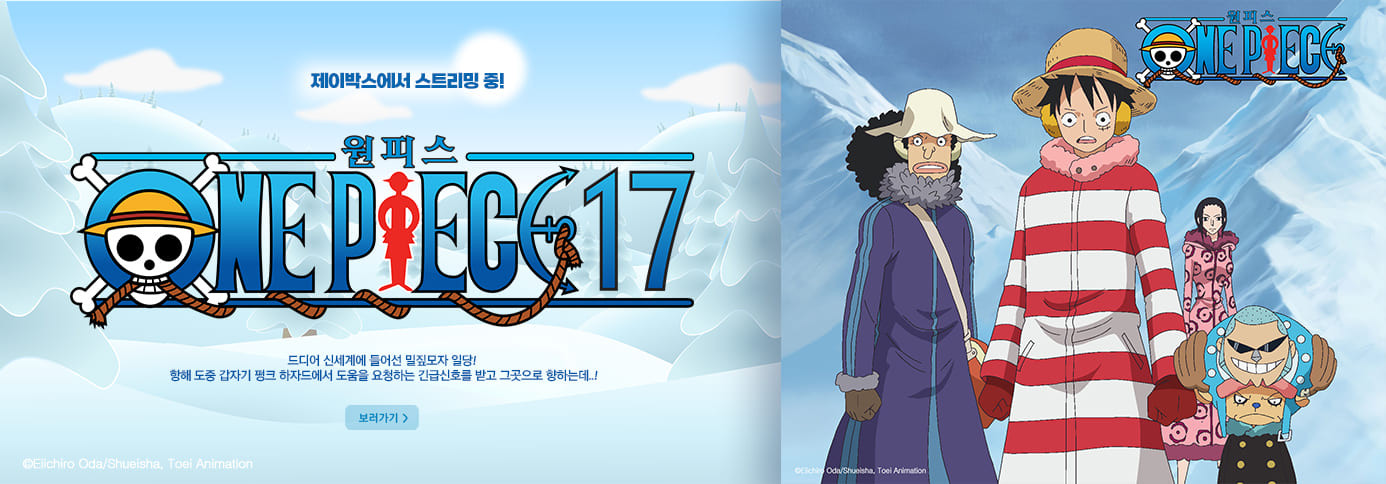 원피스 17기 펑크해저드