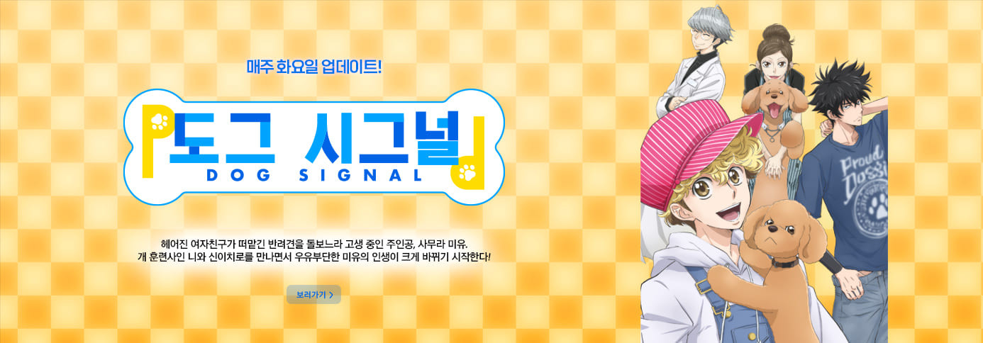 도그 시그널